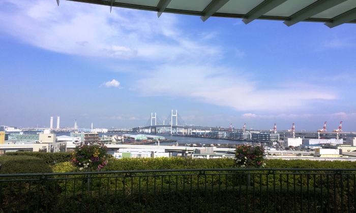 観光スポットだけじゃない!横浜店の周辺会場