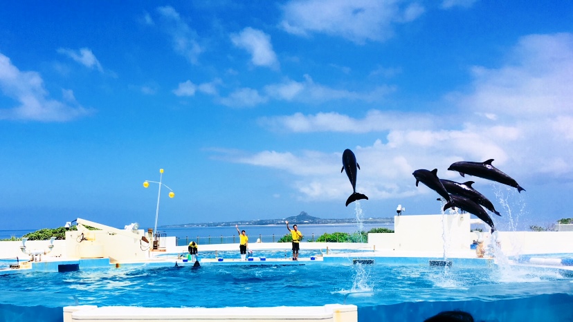 🍍OKINAWA旅行 Part2