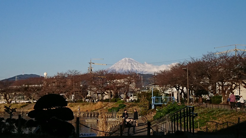 2019年🗻