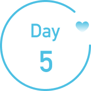 plan_day5