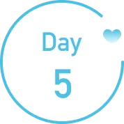 plan_day5